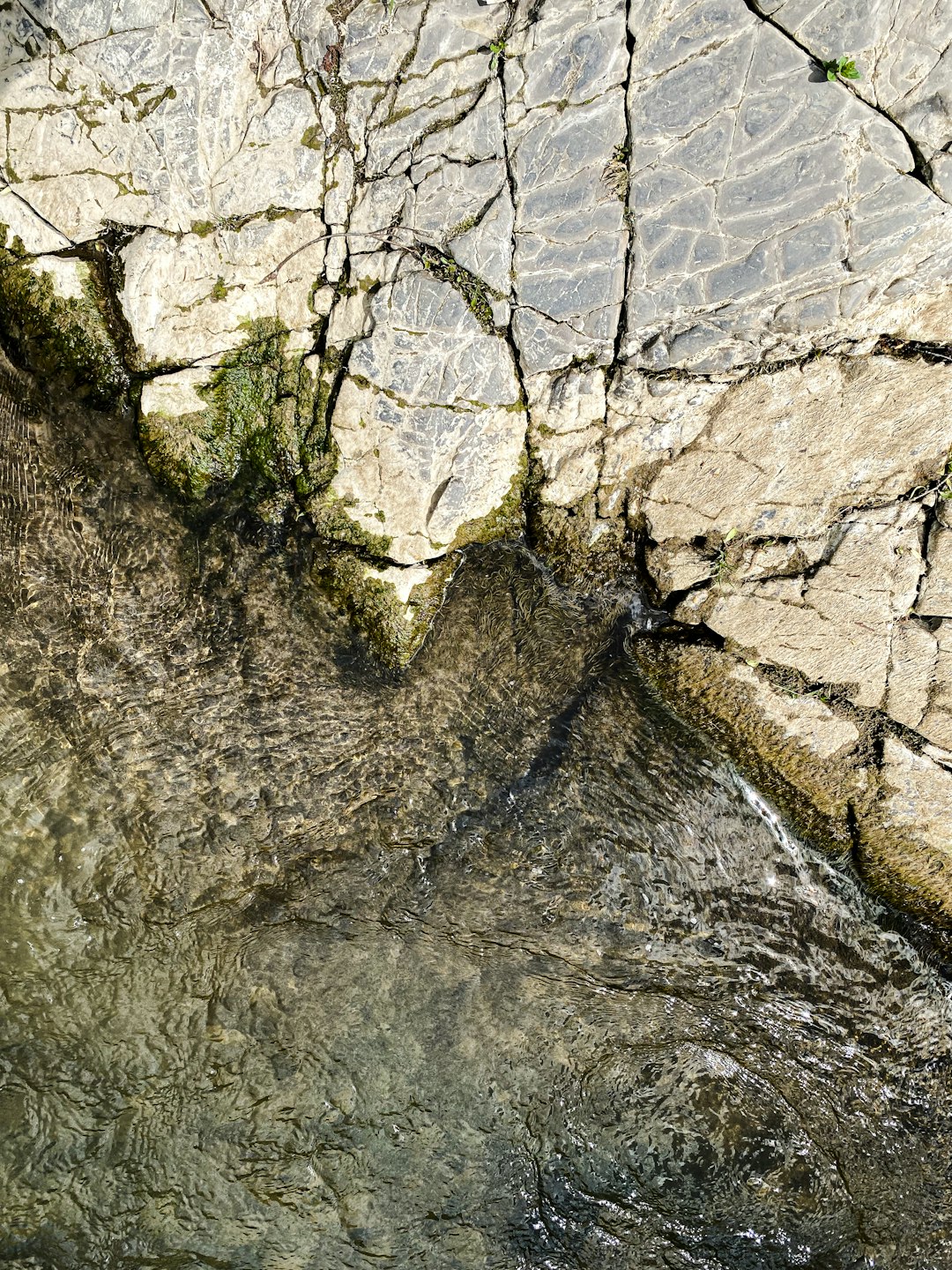 Water damage repair for iPhone